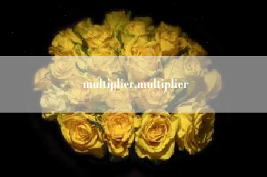 multiplier,multiplier