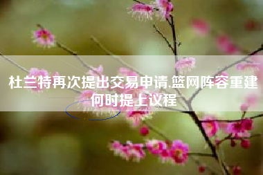 杜兰特再次提出交易申请,篮网阵容重建何时提上议程