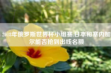 2018年俄罗斯世界杯小组赛,日本和塞内加尔能否抢到出线名额