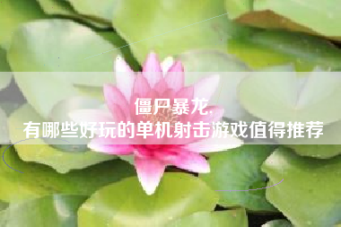 僵尸暴龙,
有哪些好玩的单机射击游戏值得推荐