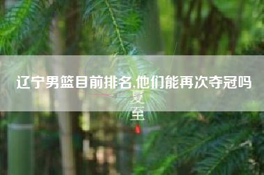 辽宁男篮目前排名,他们能再次夺冠吗