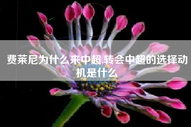 费莱尼为什么来中超,转会中超的选择动机是什么