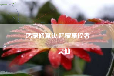 鸿蒙修真诀,鸿蒙掌控者
灵仙 鸿蒙修真诀,鸿蒙掌控者
灵仙