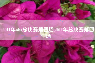 2011年nba总决赛第四场,2011年总决赛第四场