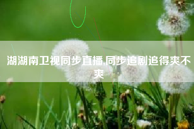 湖湖南卫视同步直播,同步追剧追得爽不爽