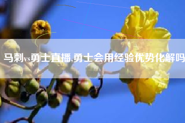 马刺vs勇士直播,勇士会用经验优势化解吗