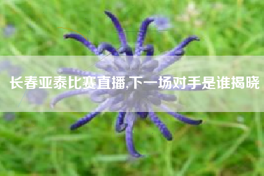 长春亚泰比赛直播,下一场对手是谁揭晓