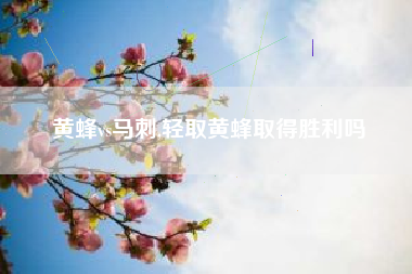 黄蜂vs马刺,轻取黄蜂取得胜利吗