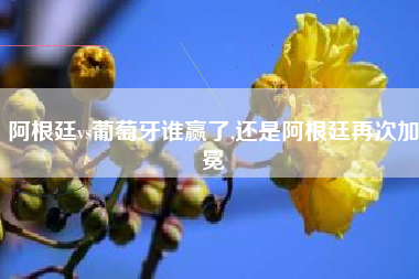 阿根廷vs葡萄牙谁赢了,还是阿根廷再次加冕