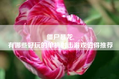 僵尸暴龙,
有哪些好玩的单机射击游戏值得推荐