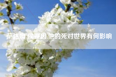 萨达姆 侯赛因,他的死对世界有何影响