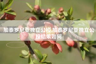 加泰罗尼亚独立公投,加泰罗尼亚独立公投结果如何
