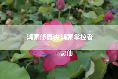 鸿蒙修真诀,鸿蒙掌控者
灵仙 鸿蒙修真诀,鸿蒙掌控者
灵仙