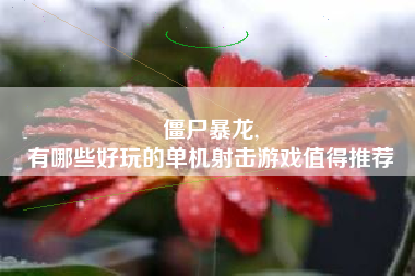 僵尸暴龙,
有哪些好玩的单机射击游戏值得推荐