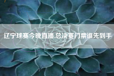 辽宁球赛今晚直播,总决赛门票谁先到手