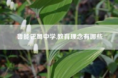 鲁能巴蜀中学,教育理念有哪些
