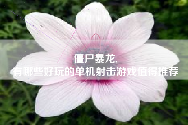 僵尸暴龙,
有哪些好玩的单机射击游戏值得推荐