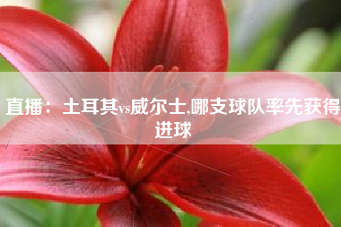 直播：土耳其vs威尔士,哪支球队率先获得进球