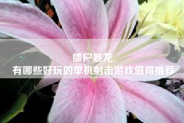 僵尸暴龙,
有哪些好玩的单机射击游戏值得推荐