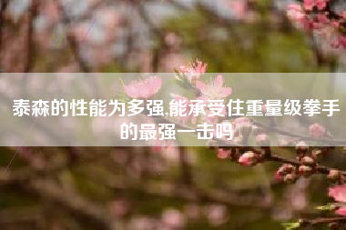 泰森的性能为多强,能承受住重量级拳手的最强一击吗