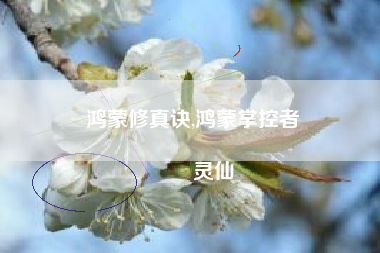 鸿蒙修真诀,鸿蒙掌控者
灵仙 鸿蒙修真诀,鸿蒙掌控者
灵仙