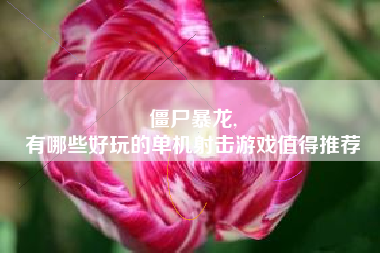 僵尸暴龙,
有哪些好玩的单机射击游戏值得推荐