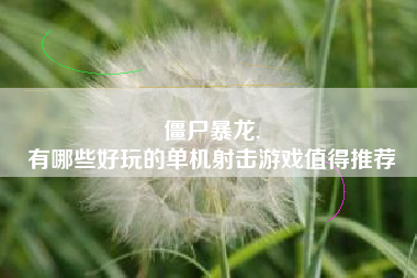 僵尸暴龙,
有哪些好玩的单机射击游戏值得推荐