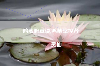 鸿蒙修真诀,鸿蒙掌控者
灵仙 鸿蒙修真诀,鸿蒙掌控者
灵仙