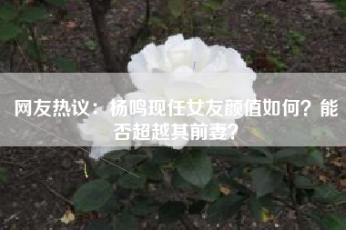 网友热议:杨鸣现任女友颜值如何?能否超越其前妻?