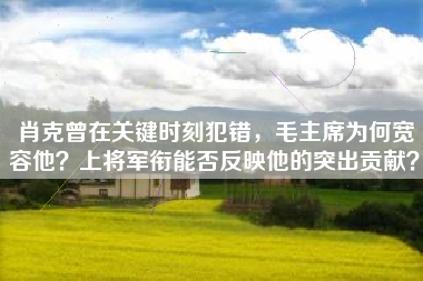 肖克曾在关键时刻犯错,毛主席为何宽容他?上将军衔能否反映他的突出贡献?