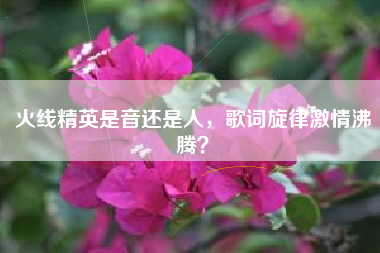 火线精英是音还是人，歌词旋律激情沸腾？