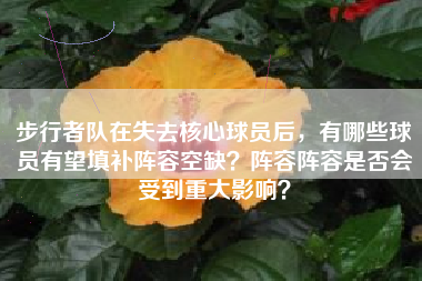 步行者队在失去核心球员后,有哪些球员有望填补阵容空缺?阵容阵容是否会受到重大影响?