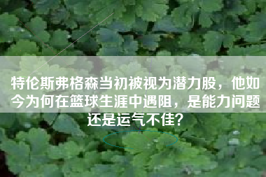 特伦斯弗格森当初被视为潜力股，他如今为何在篮球生涯中遇阻，是能力问题还是运气不佳？