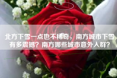 北方下雪一点也不稀奇，南方城市下雪有多震撼？南方哪些城市意外入群？