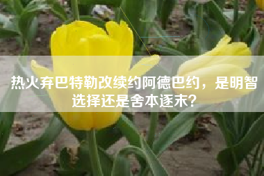 热火弃巴特勒改续约阿德巴约，是明智选择还是舍本逐末？