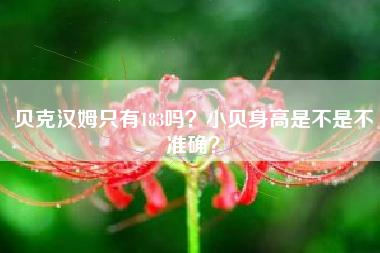 贝克汉姆只有183吗？小贝身高是不是不准确？