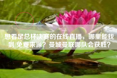 想看足总杯决赛的在线直播,哪里能找到 免费来源?曼城曼联哪队会获胜?