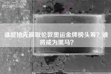 谁能抢先摘取伦敦奥运金牌榜头筹？谁将成为黑马？