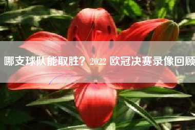 哪支球队能取胜?2022 欧冠决赛录像回顾