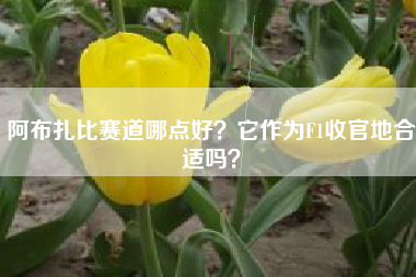 阿布扎比赛道哪点好？它作为F1收官地合适吗？