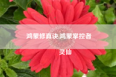 鸿蒙修真诀,鸿蒙掌控者
灵仙 鸿蒙修真诀,鸿蒙掌控者
灵仙