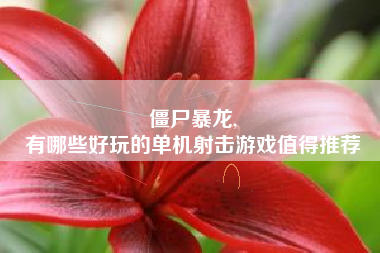 僵尸暴龙,
有哪些好玩的单机射击游戏值得推荐