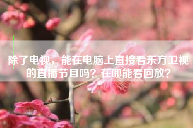除了电视，能在电脑上直接看东方卫视的直播节目吗？在哪能看回放？