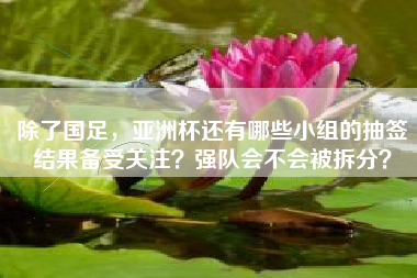 除了国足，亚洲杯还有哪些小组的抽签结果备受关注？强队会不会被拆分？