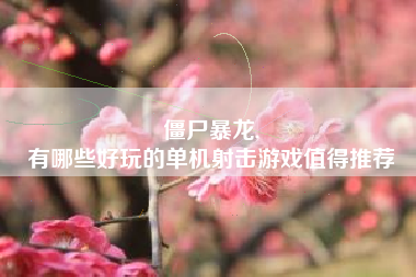 僵尸暴龙,
有哪些好玩的单机射击游戏值得推荐