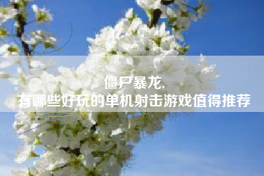 僵尸暴龙,
有哪些好玩的单机射击游戏值得推荐