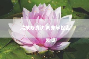 鸿蒙修真诀,鸿蒙掌控者
灵仙 鸿蒙修真诀,鸿蒙掌控者
灵仙