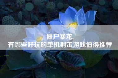 僵尸暴龙,
有哪些好玩的单机射击游戏值得推荐