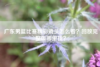 广东男篮比赛精彩镜头怎么看？回放完整版哪里找？