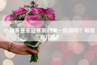 小组赛是亚冠赛制的第一阶段吗？每组有几队？